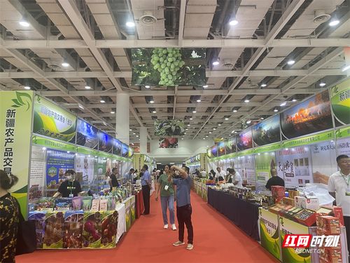 新疆農產品長沙交易會盛大開幕，超300種初級產品等你來品鑒