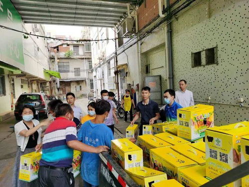 大龍街以購代捐 優質農產品認購，助力消費扶貧新篇章