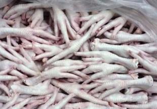 牲畜批發(fā)零售市場(chǎng)全解析 價(jià)格、廠家與全球采購(gòu)趨勢(shì)